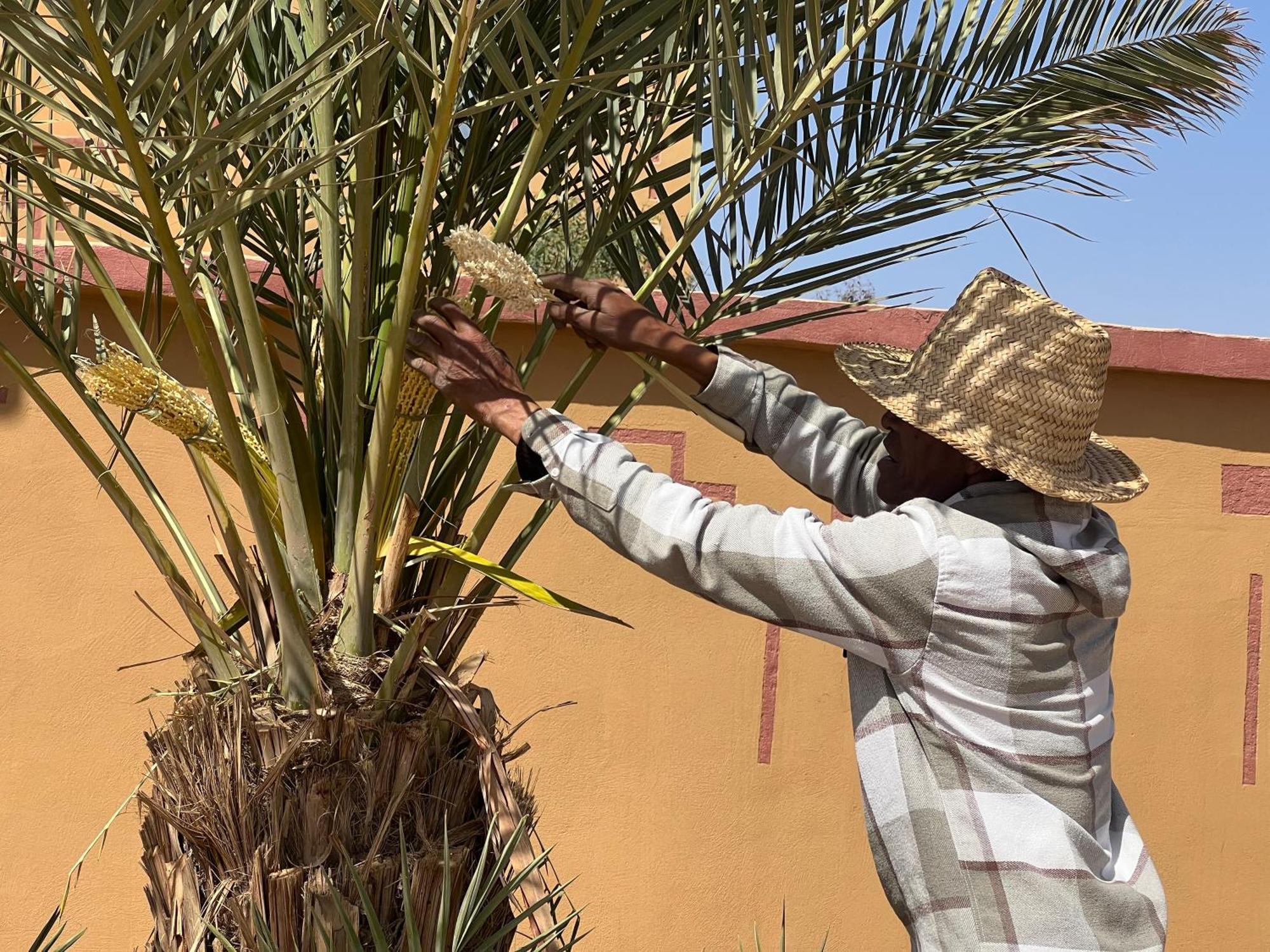 Berber Palace Merzouga Exterior foto